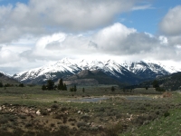 The road to Yellowstone